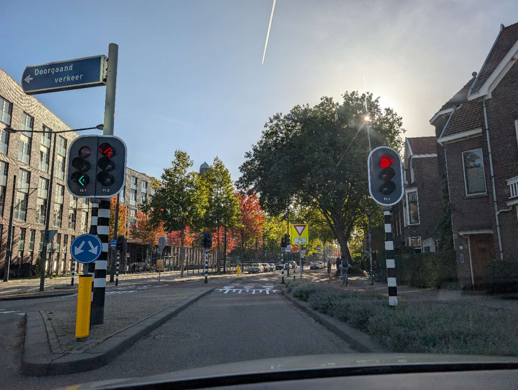 A sunlit street near the laboratory, with trees, brick buildings and cycle lanes.